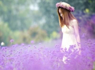 用心聆听紫荆花开的声音